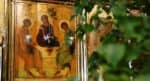 Православные празднуют день Святой Троицы, Пятидесятницу