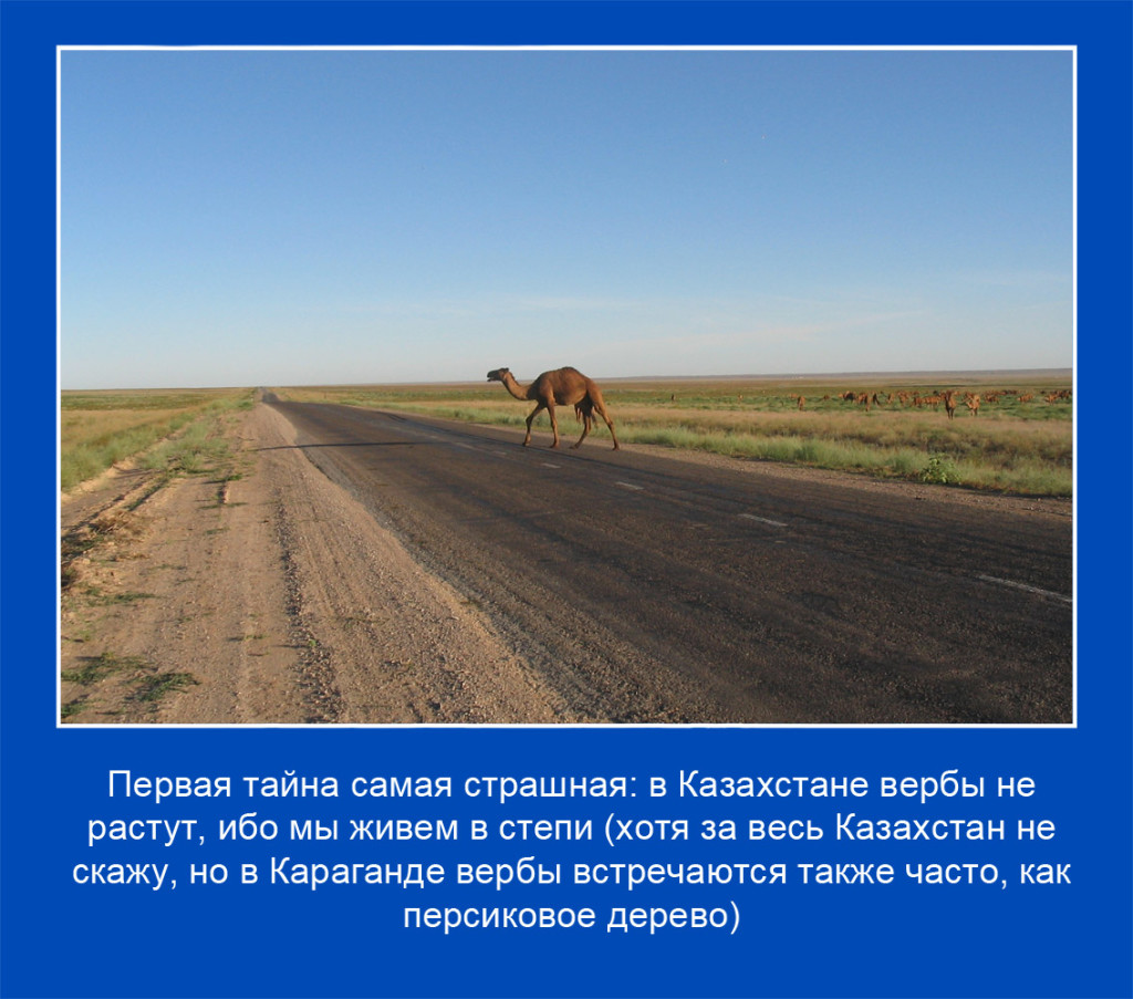 02 копия