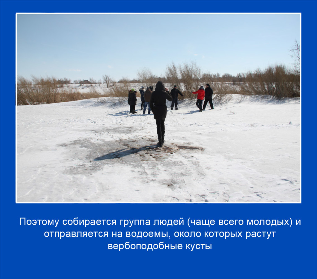 03 копия