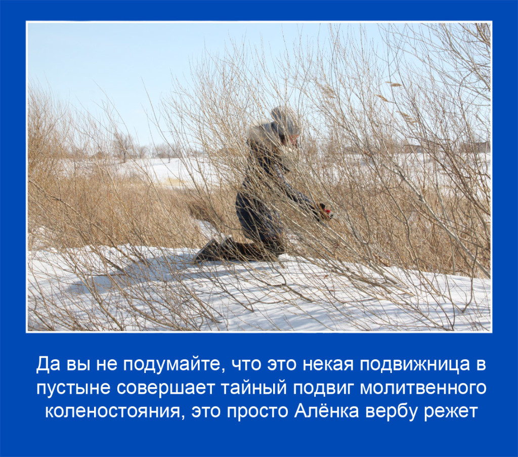 05 копия