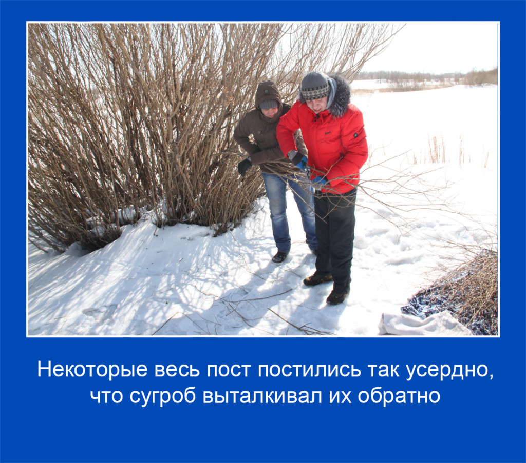 09 копия
