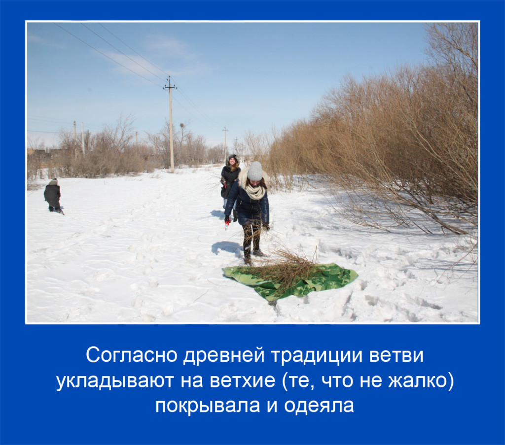 11 копия
