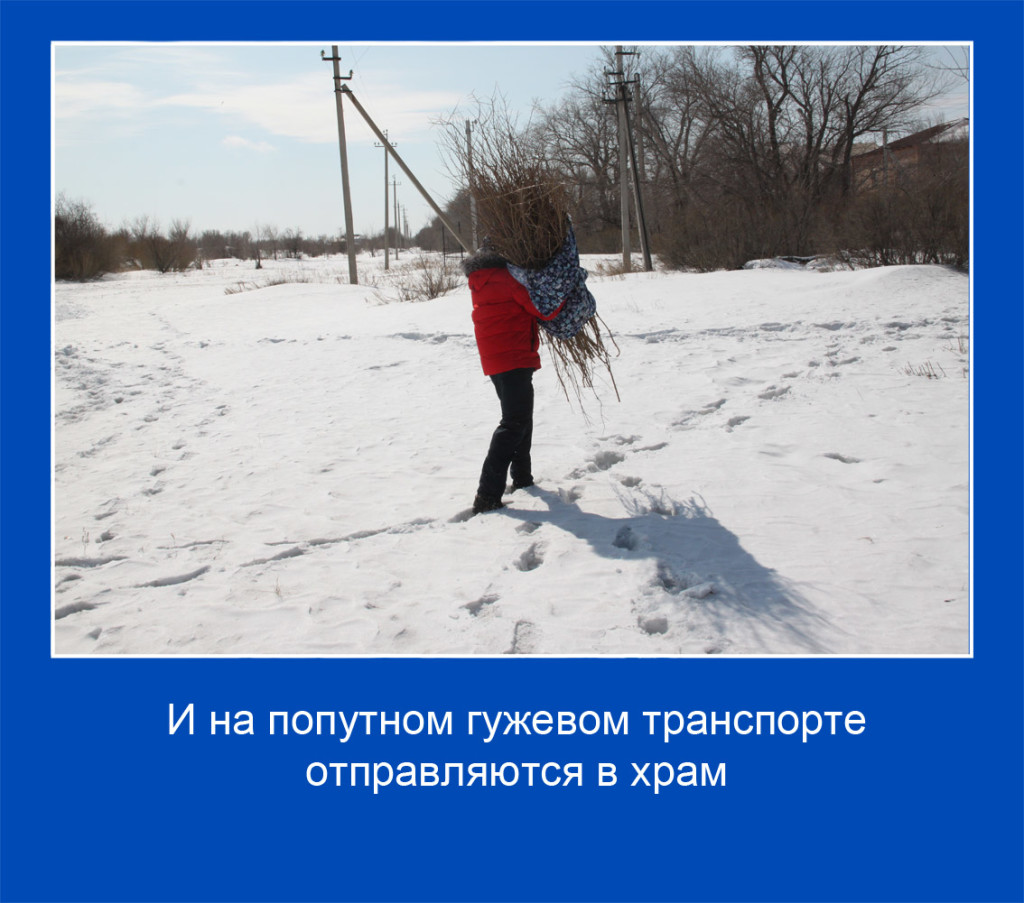 13 копия