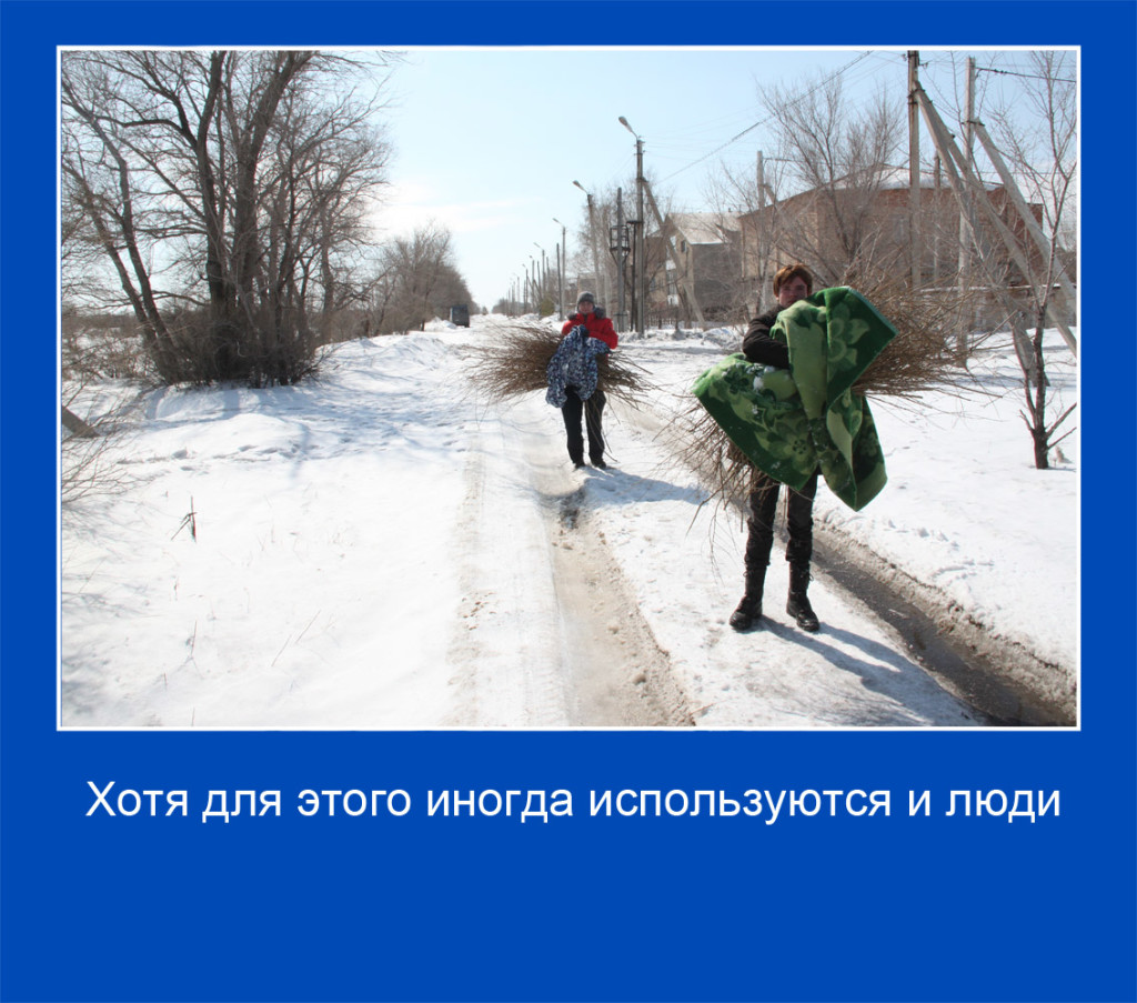 14 копия