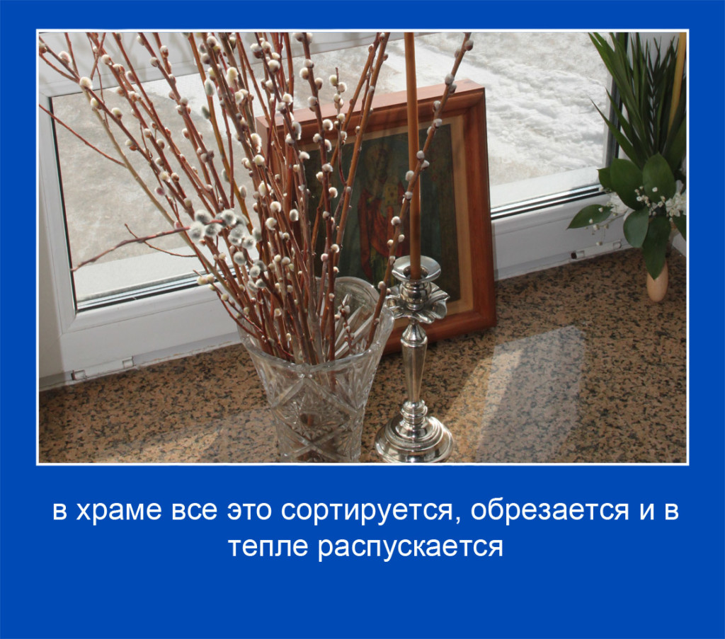 15 копия