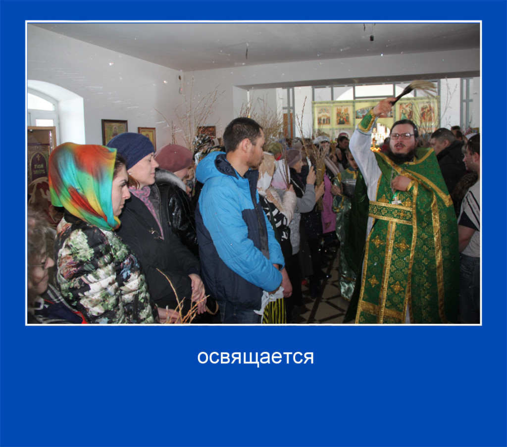 16 копия