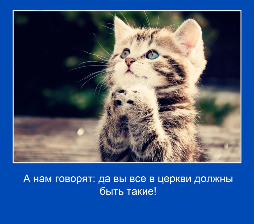 19 копия