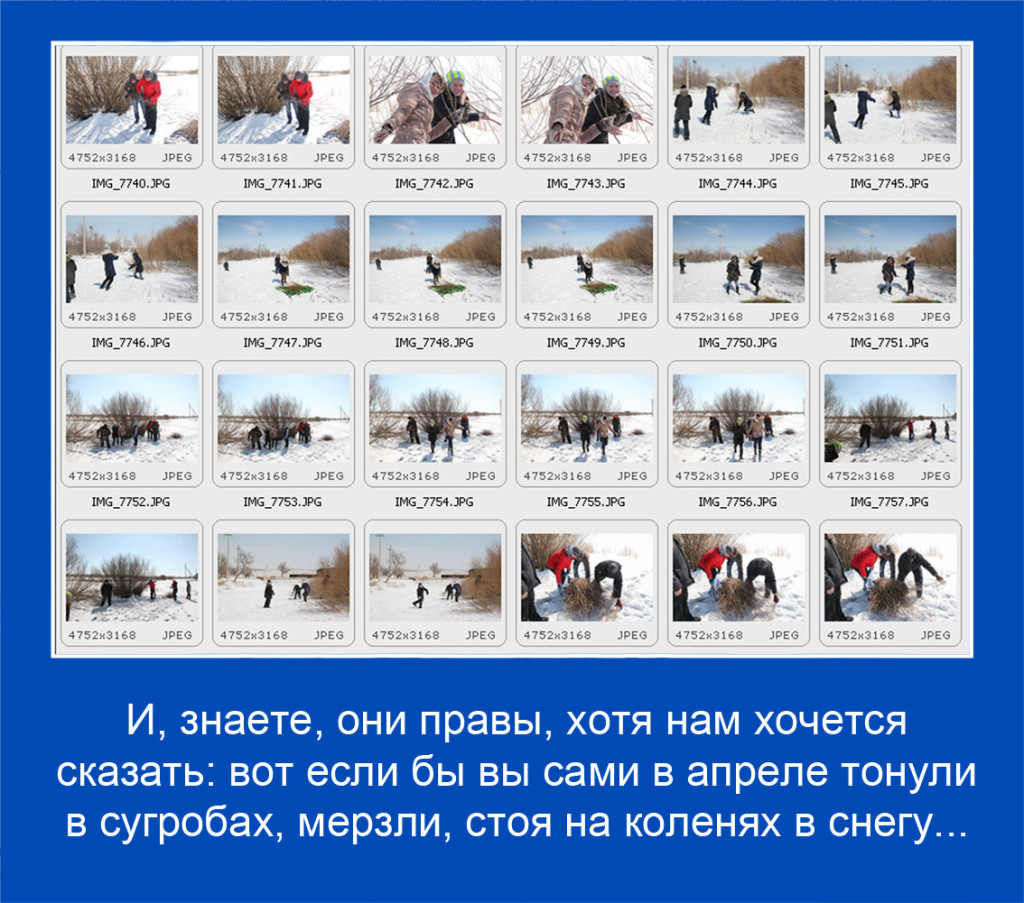 20 копия