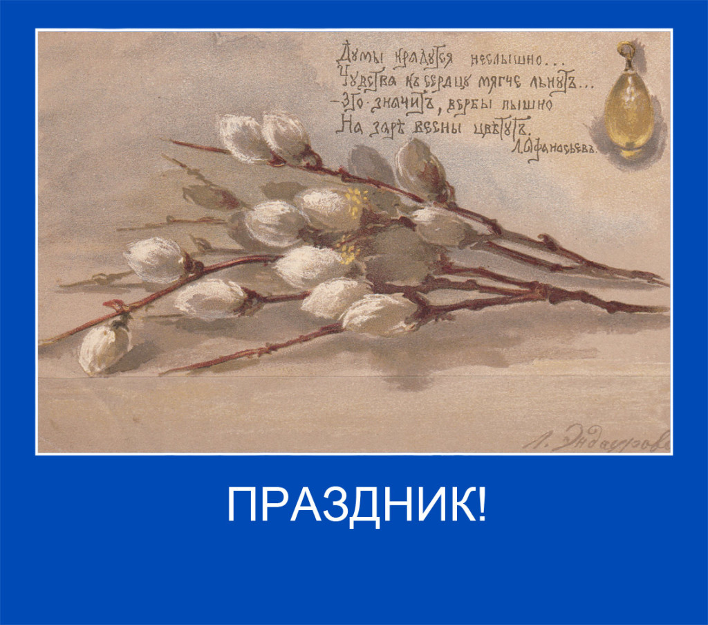 23 копия